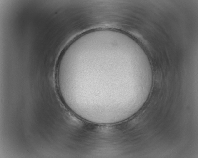 X0000073971278200609051836