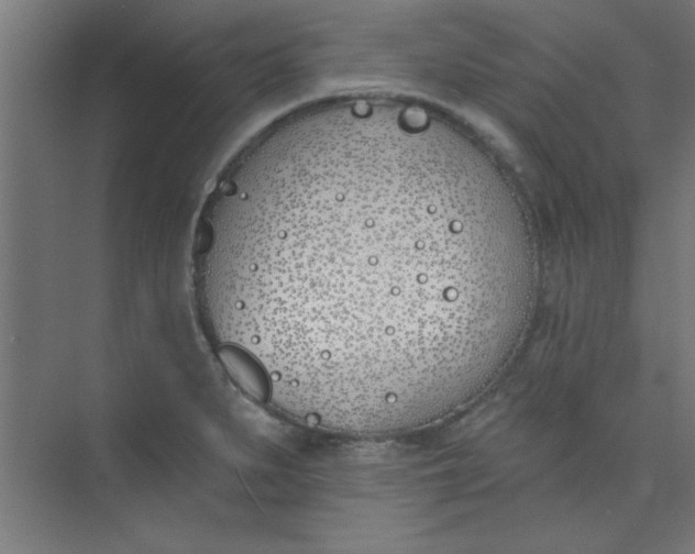 X0000073971279200609051836