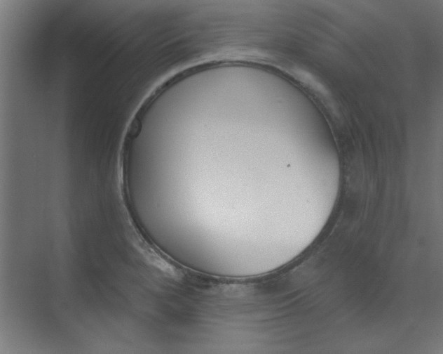 X0000073971280200609051836