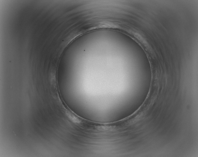 X0000073971281200609051836