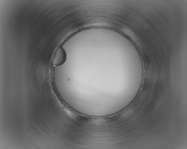 X0000073971282200609051836