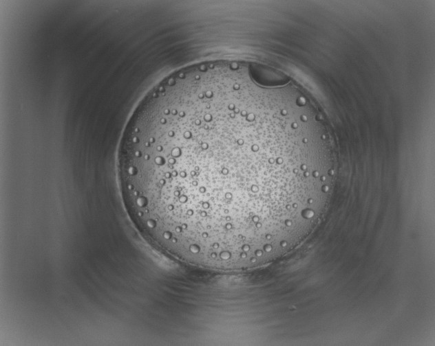 X0000073971283200609051836