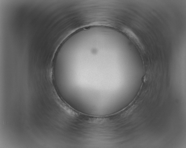 X0000073971284200609051836