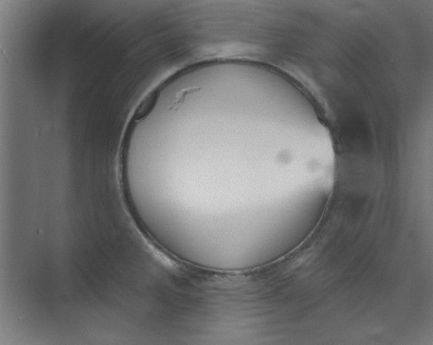 X0000073971285200609051836