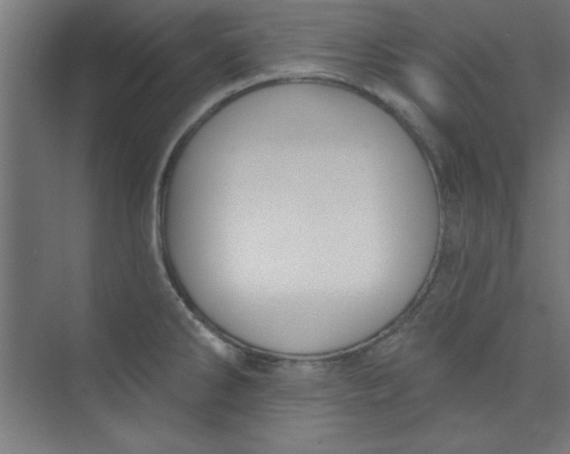 X0000073971286200609051836