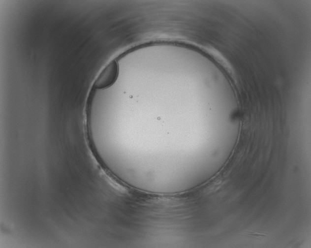 X0000073971287200609051835