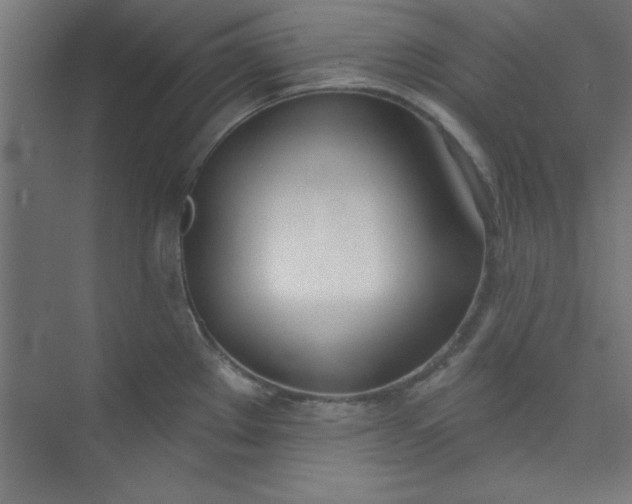 X0000073971289200609051835