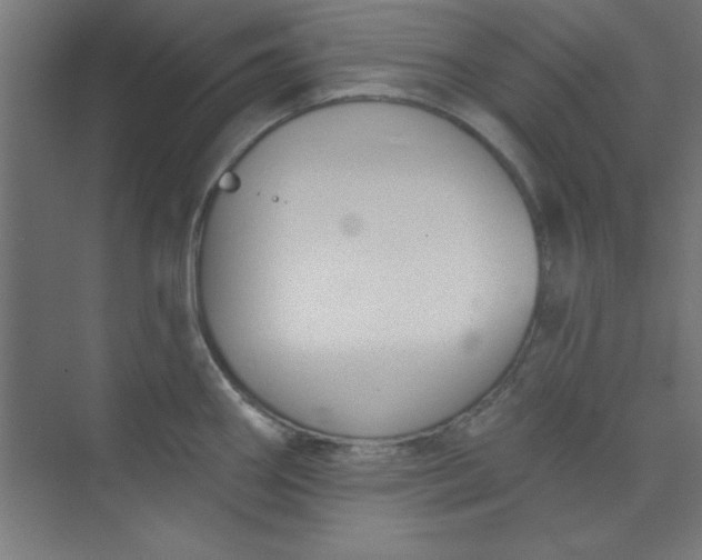 X0000073971290200609051835