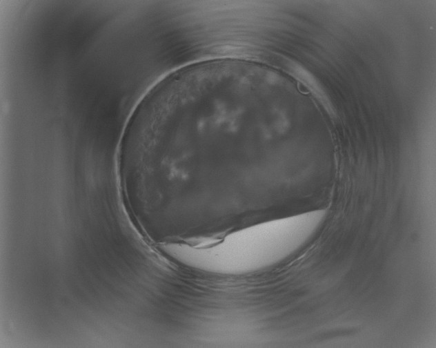 X0000073971291200609051835