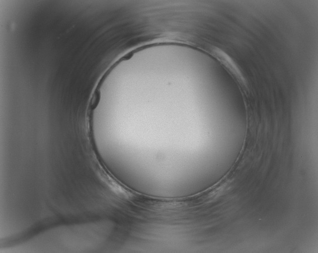 X0000073971292200609051835