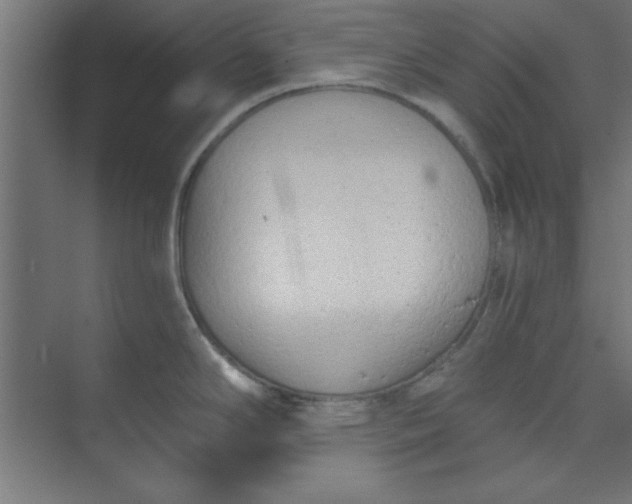 X0000073971294200609051835