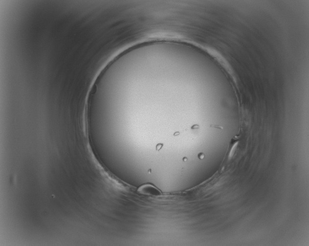 X0000073971295200609051835