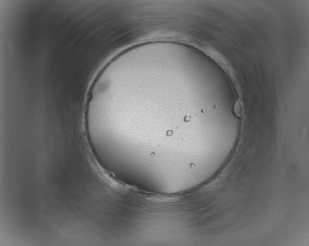 X0000073971296200609051835