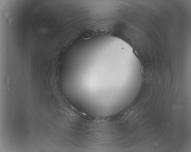 X0000073971297200609051835