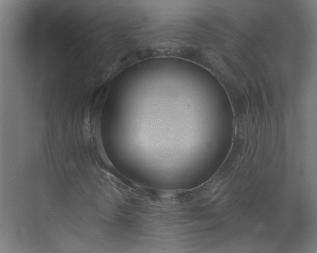 X0000073971298200609051835