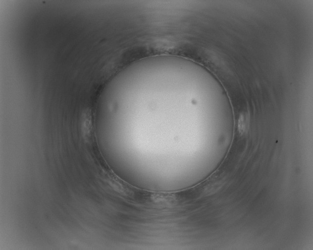 X0000073971299200609051835