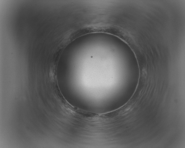 X0000073971300200609051835