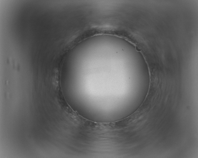 X0000073971301200609051835