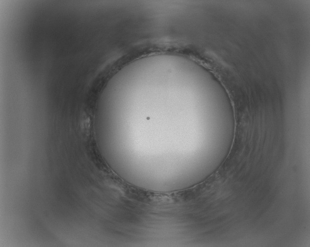 X0000073971302200609051835