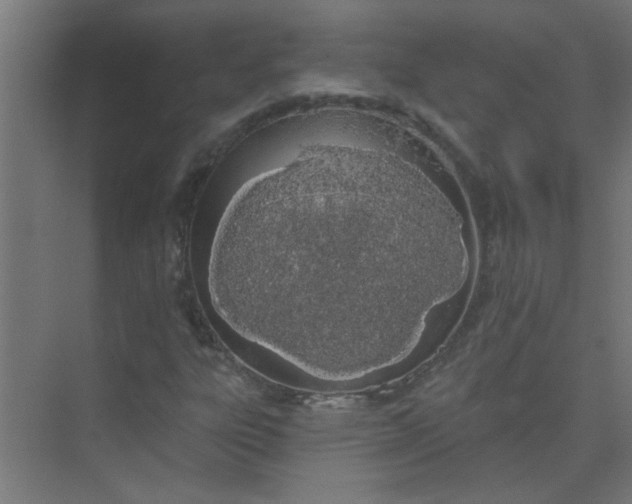 X0000073971303200609051835