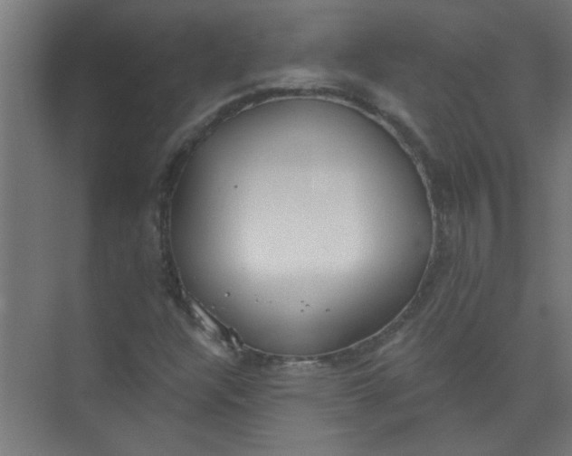 X0000073971304200609051835