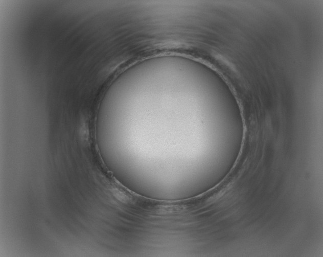 X0000073971305200609051835