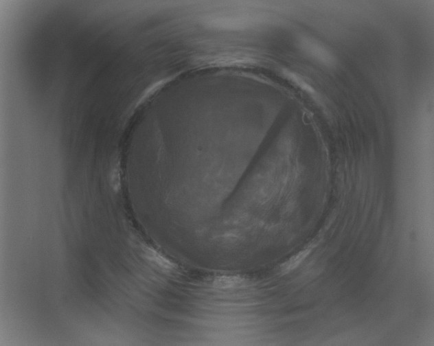 X0000073971306200609051835