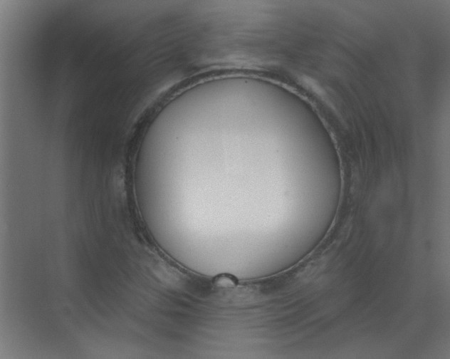 X0000073971307200609051835