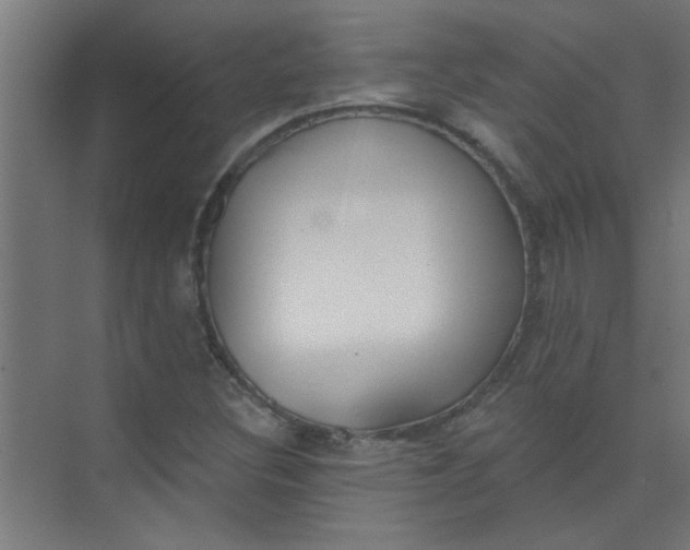 X0000073971308200609051835