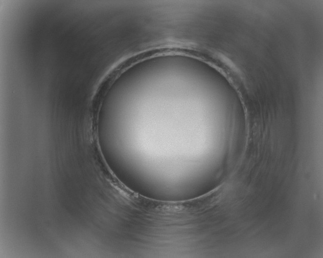 X0000073971310200609051835