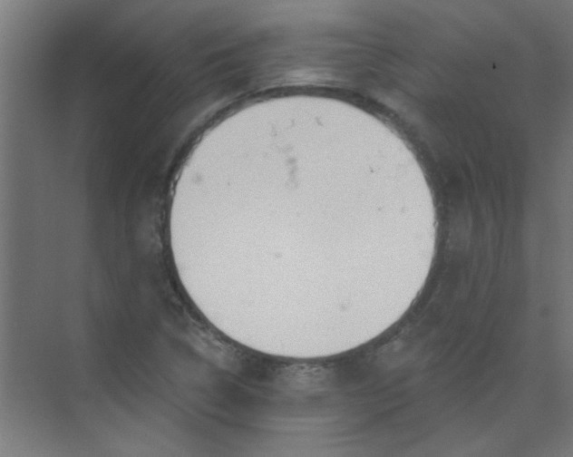 X0000073971314200609051835