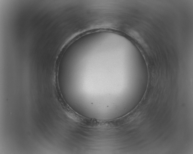 X0000073971316200609051835