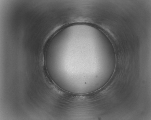 X0000073971317200609051835