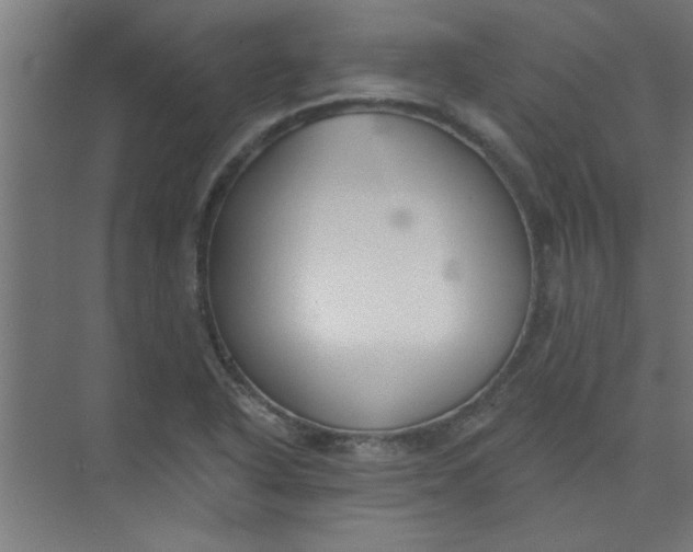 X0000073971318200609051835