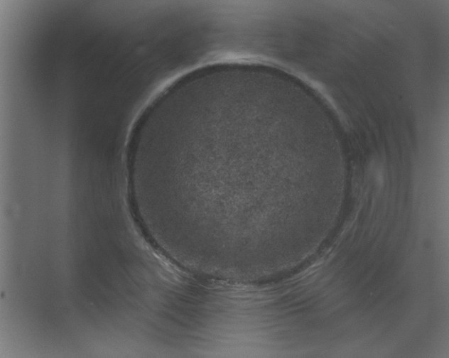 X0000073971319200609051835