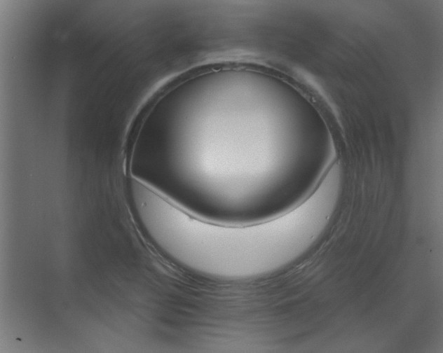 X0000073971320200609051835