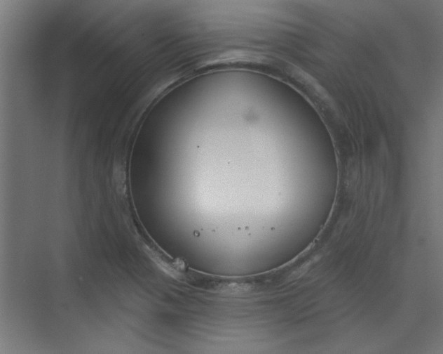 X0000073971321200609051835