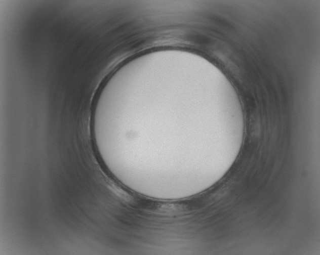 X0000073971322200609051835