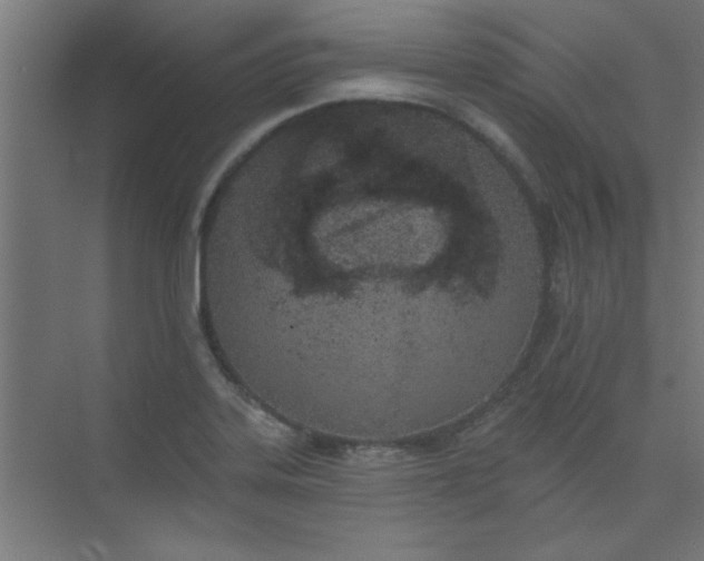 X0000073971323200609051835