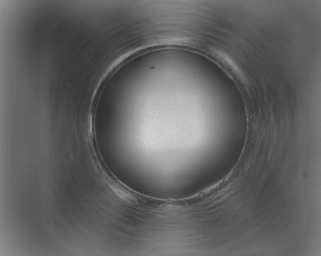 X0000073971324200609051835