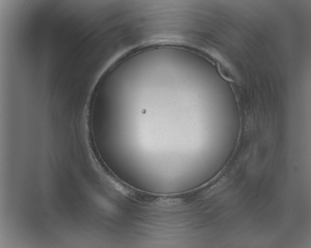 X0000073971325200609051835