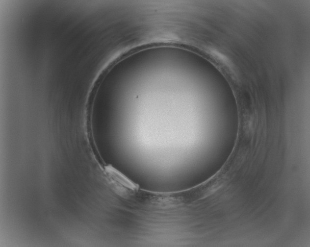 X0000073971326200609051835