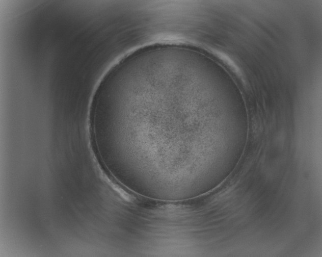 X0000073971327200609051835