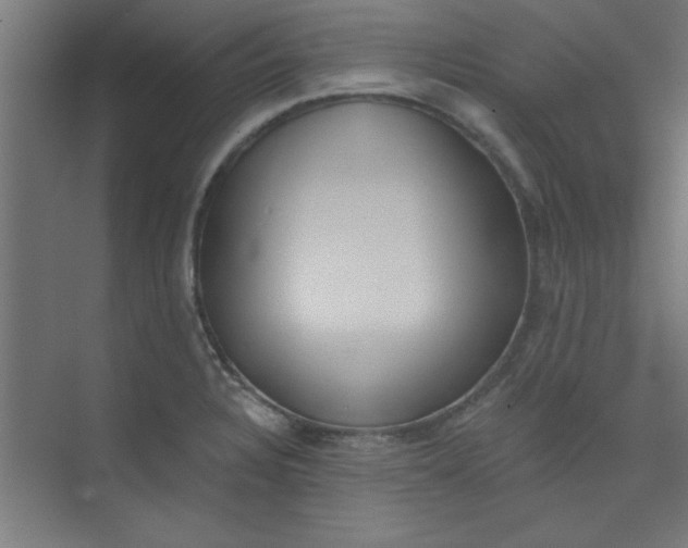 X0000073971328200609051835