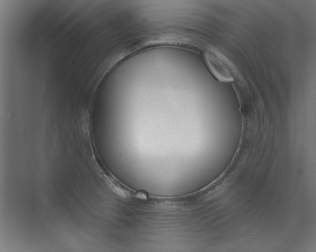 X0000073971329200609051835