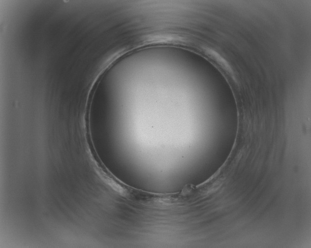 X0000073971330200609051835