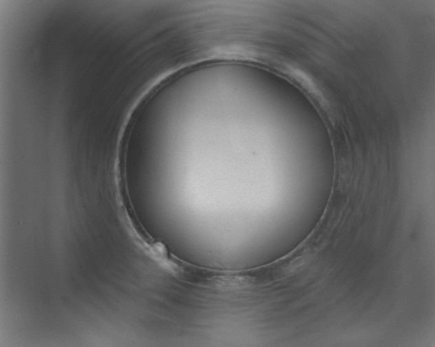 X0000073971331200609051835