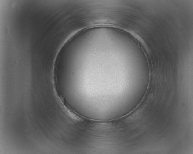 X0000073971333200609051835