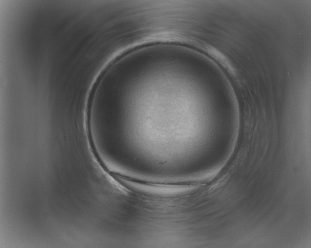 X0000073971334200609051835