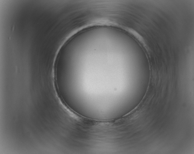 X0000073971335200609051835